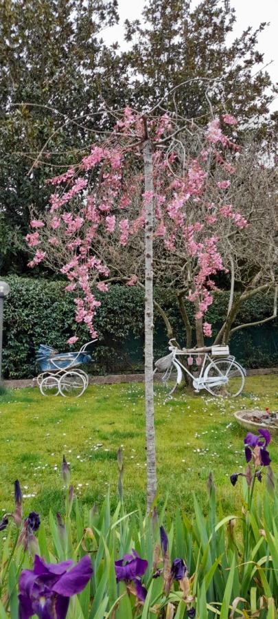 Il Glicine Hotel Sutri Bagian luar foto